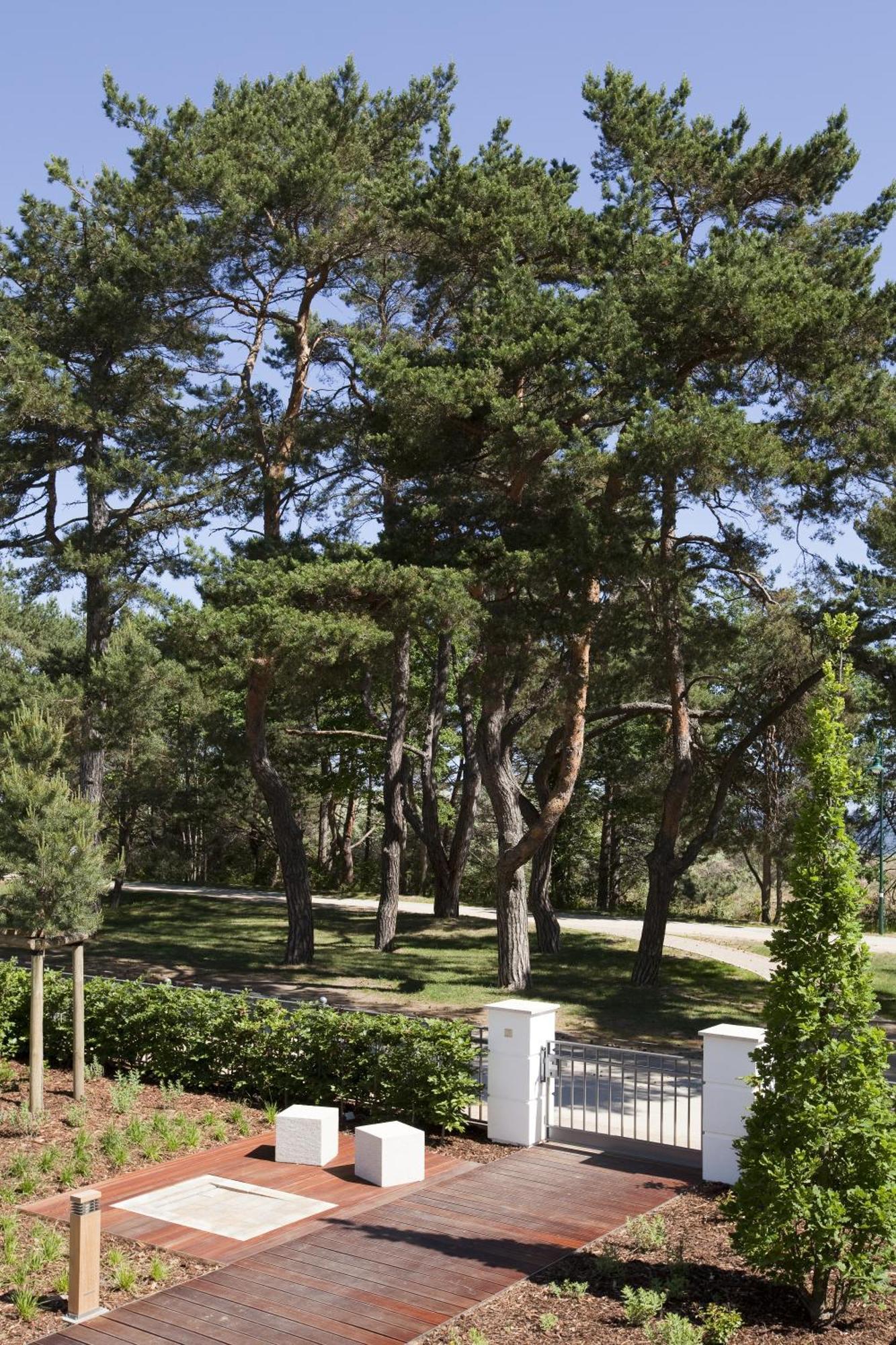 Steigenberger Grandhotel & Spa Heringsdorf מראה חיצוני תמונה Pines in the park